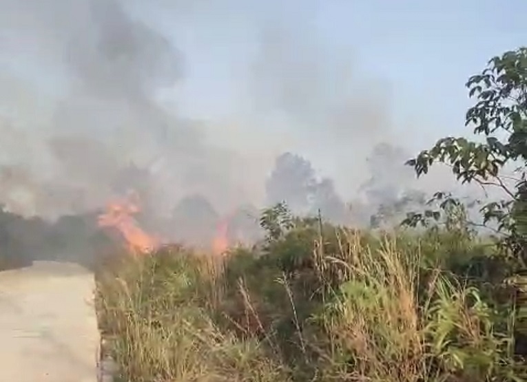 Proses Pemadaman Karhutla di Desa Saliki, Kecamatan Muara Badak (Dok. Pemdes Saliki)