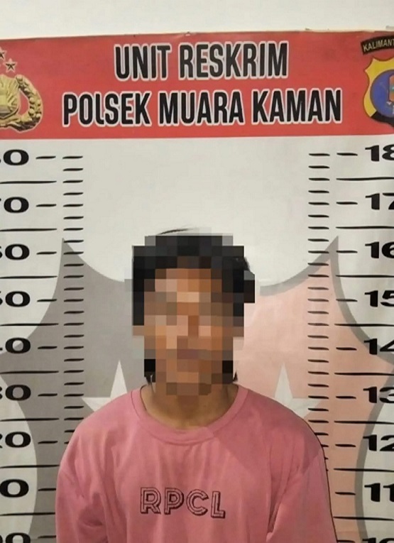 Pelaku Saat di Amankan Petugas Kepolisian. (Dok. Polsek Muara Kaman)