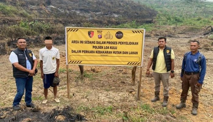 Sawit Muda PT BDAM Hangus Terbakar, Polisi Usut Dugaan Pembakaran di Loa Kulu