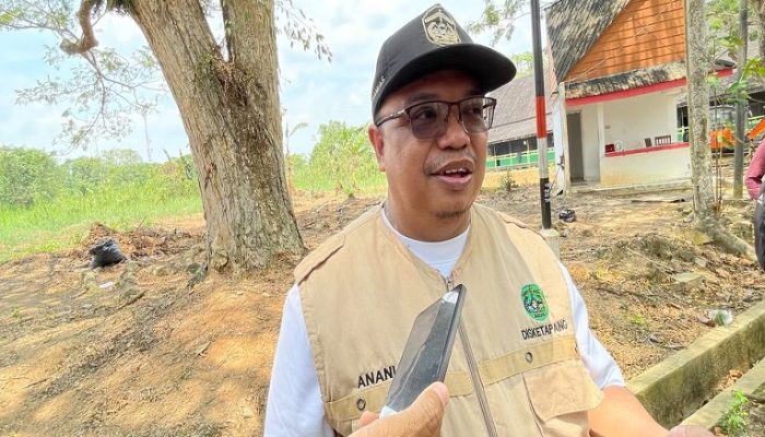 Program Dedikasi Kukar Idaman Terbaik, Disketapang Targetkan 500 Lantai Jemur Portable untuk Petani
