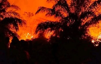 Kondisi Karhutla di Wilayah Kota Bangun (Dok. Polsek Kota Bangun)