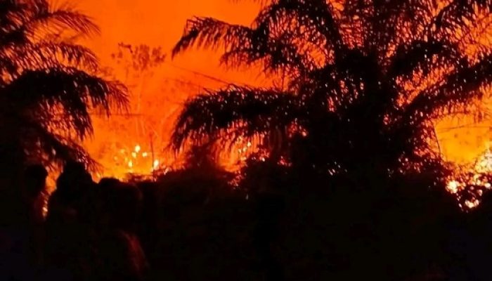 Karhutla di Kedang Murung Hanguskan 7 Hektare Lahan, Pemadaman Berlanjut hingga Dini Hari