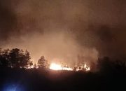 Karhutla di Kecamatan Muara Muntai (Dok. Istimewa)