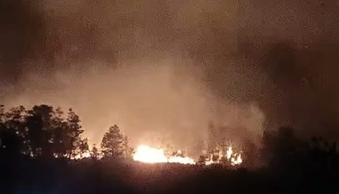Karhutla Kukar Sulit Dijangkau, Pembakaran Lahan Disorot DPRD