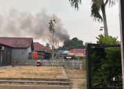 Bakar Rumput di Pekarangan, Api Merambat ke Kandang Ayam di Jalan Jelawat Batu