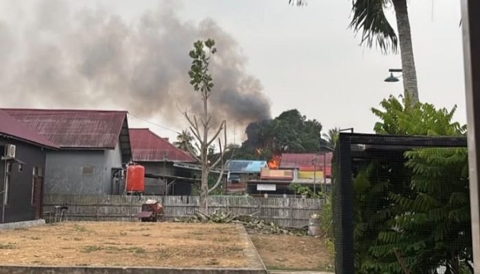 Bakar Rumput di Pekarangan, Api Merambat ke Kandang Ayam di Jalan Jelawat Batu