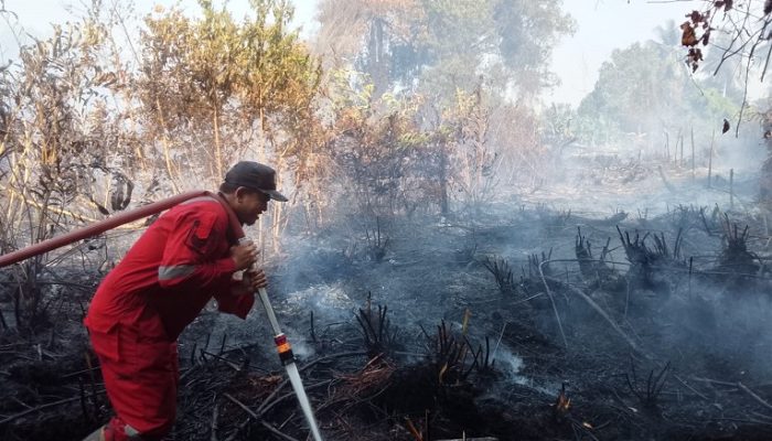 Cuaca Terik Picu Kebakaran, Lahan Gambut di Samboja Dilalap Api 2 Petugas Berusaha Memadamkan Api.(Dok. Disdamkarmatan Kukar)