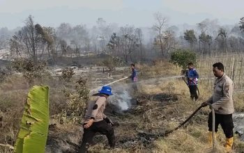 Karhutla Mengancam Kukar, 10 Hektare Lahan di Samboja Barat Terbakar 3 Proses Pemadaman Lahan di Samboja Barat (Dok. Polsek Samboja)