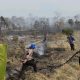 Karhutla Mengancam Kukar, 10 Hektare Lahan di Samboja Barat Terbakar