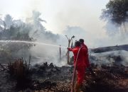Petugas Berusaha Memadamkan Api. (Dok. Disdamkarmatan Kukar)