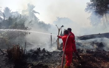 Petugas Berusaha Memadamkan Api. (Dok. Disdamkarmatan Kukar)