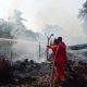 Cuaca Terik Picu Kebakaran, Lahan Gambut di Samboja Dilalap Api