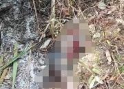 Penemuan Jasad di Lahan Kecamatan Kenohan (Dok. Istimewa)