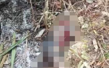 Penemuan Jasad di Lahan Kecamatan Kenohan (Dok. Istimewa)