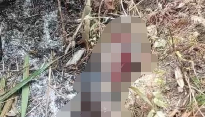 Pria Lansia Ditemukan Meninggal di Lahan Bekas Karhutla di Kenohan