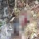 Pria Lansia Ditemukan Meninggal di Lahan Bekas Karhutla di Kenohan